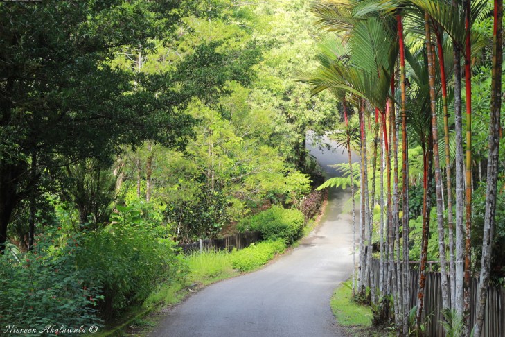 Entrance to Sememggoh Orangutan Sanctuary